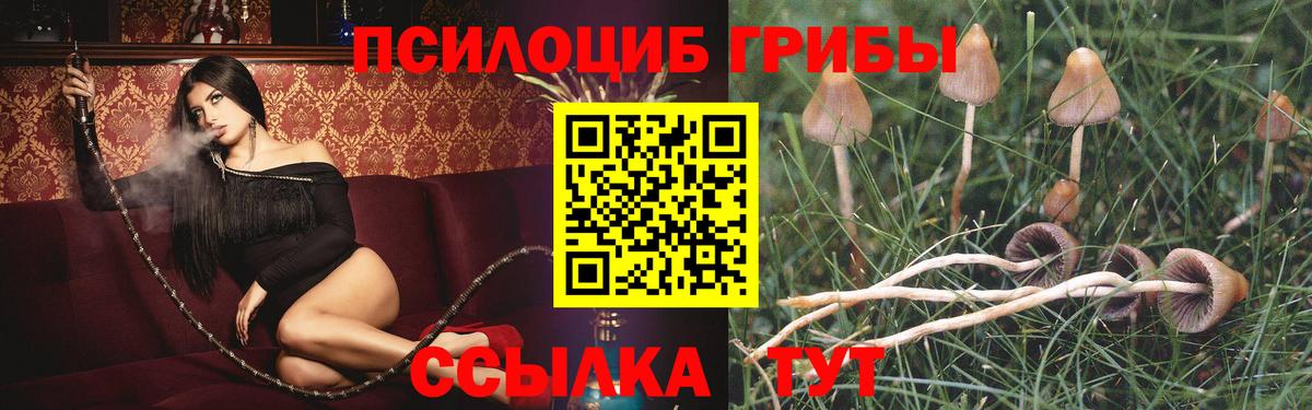 Галлюциногенные грибы Magic Shrooms Воркута